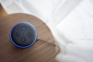 アレクサの動物モノマネレパートリーを検証した結果