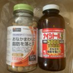 【防風通聖散】ナイシトールZaと至聖の比較レビューで飲み比べ