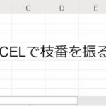 【Excel】数式で簡単に枝番を振る方法